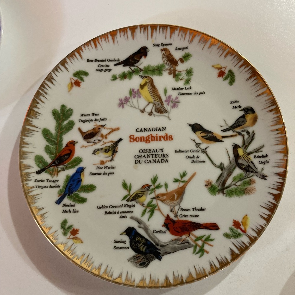 Canadian Songbirds Plate 8” Collector Vintage #
